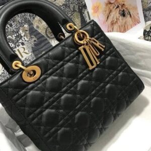 Female handbag