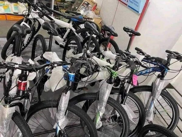 Bicycle pallet