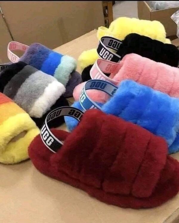 Slides
